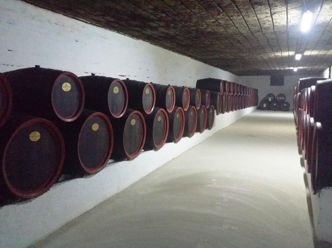 Cricova Winery-Cricova必去景点