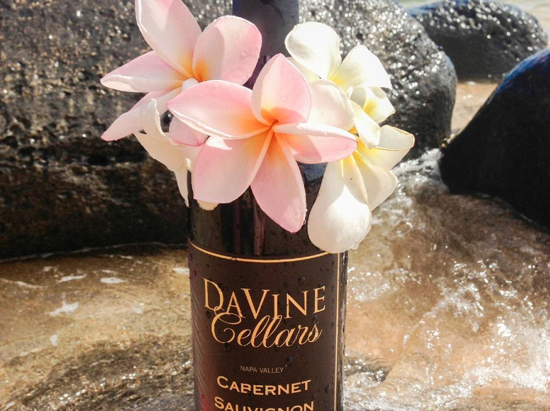 MJA Vineyards-圣克鲁斯必去景点