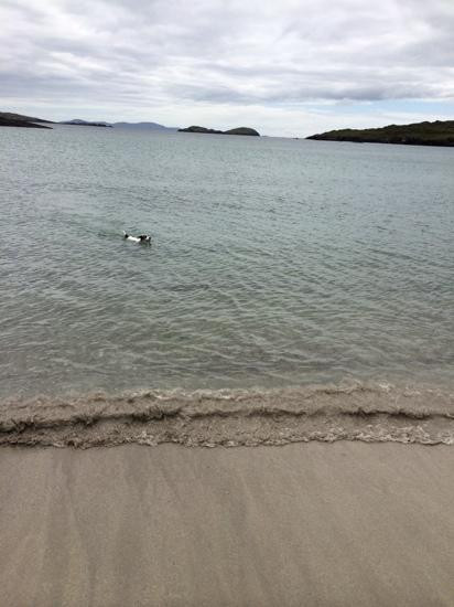 Derrynane Beach-Caherdaniel必去景点