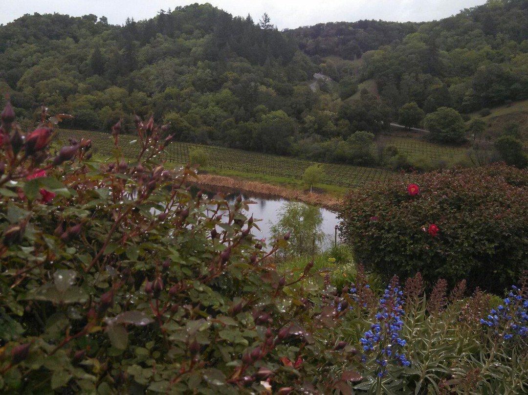 Fritz Underground Winery景点图片