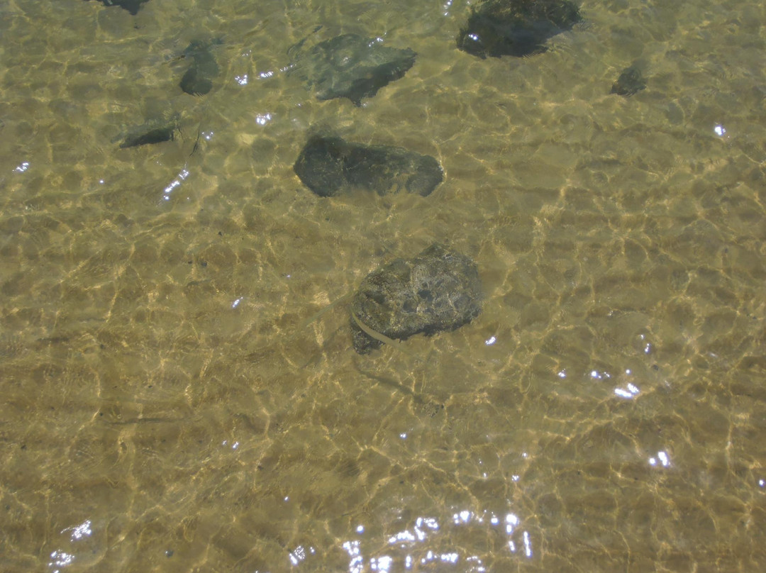 Pedras Miudas Beach-伊利亚贝拉必去景点