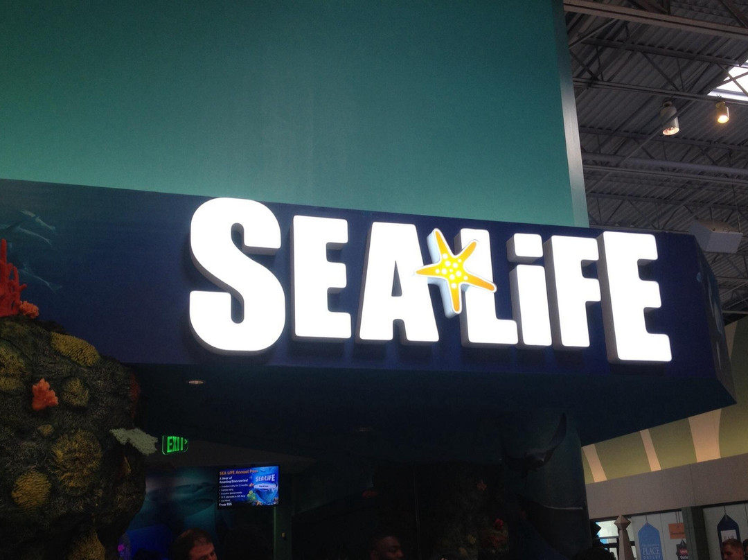 SEA LIFE Charlotte-Concord景点图片