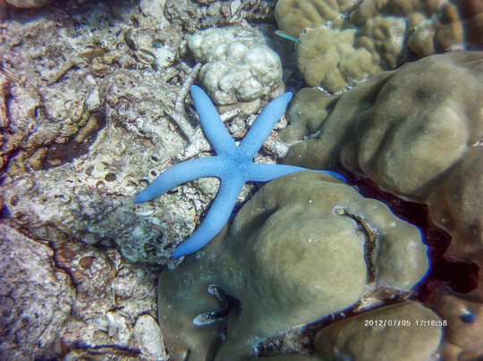 D&R潜水之旅-兰塔岛必去景点