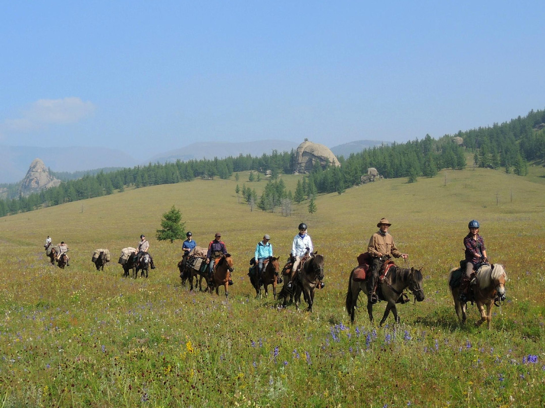Stone Horse Expeditions & Travel - Day Tours景点图片