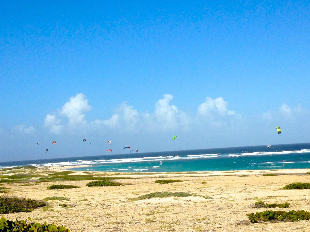Pro Kite School Aruba-Santa Cruz必去景点