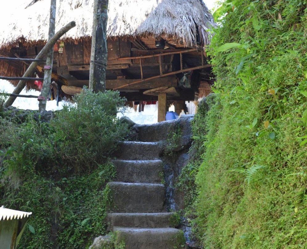 Batad酒店住宿-Ramon's Native Homestay