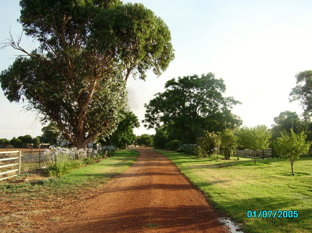 Coleambally酒店住宿-Ingleden Park Farmstay