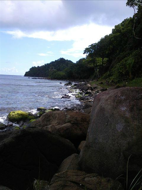 Brian's Apartment主图