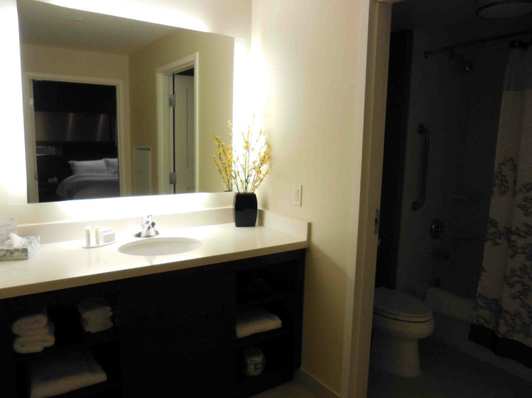 加拿大酒店住宿-Residence Inn by Marriott Ottawa Airport