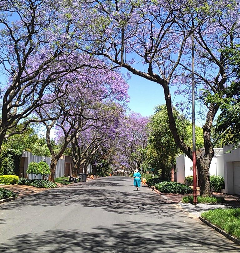 Abigail's B & B主图