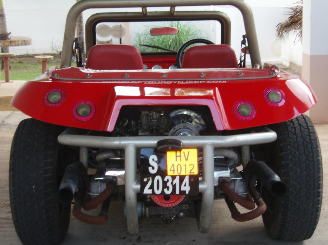 Buggy & Jeep Rental/Sales/Bungalows景点图片