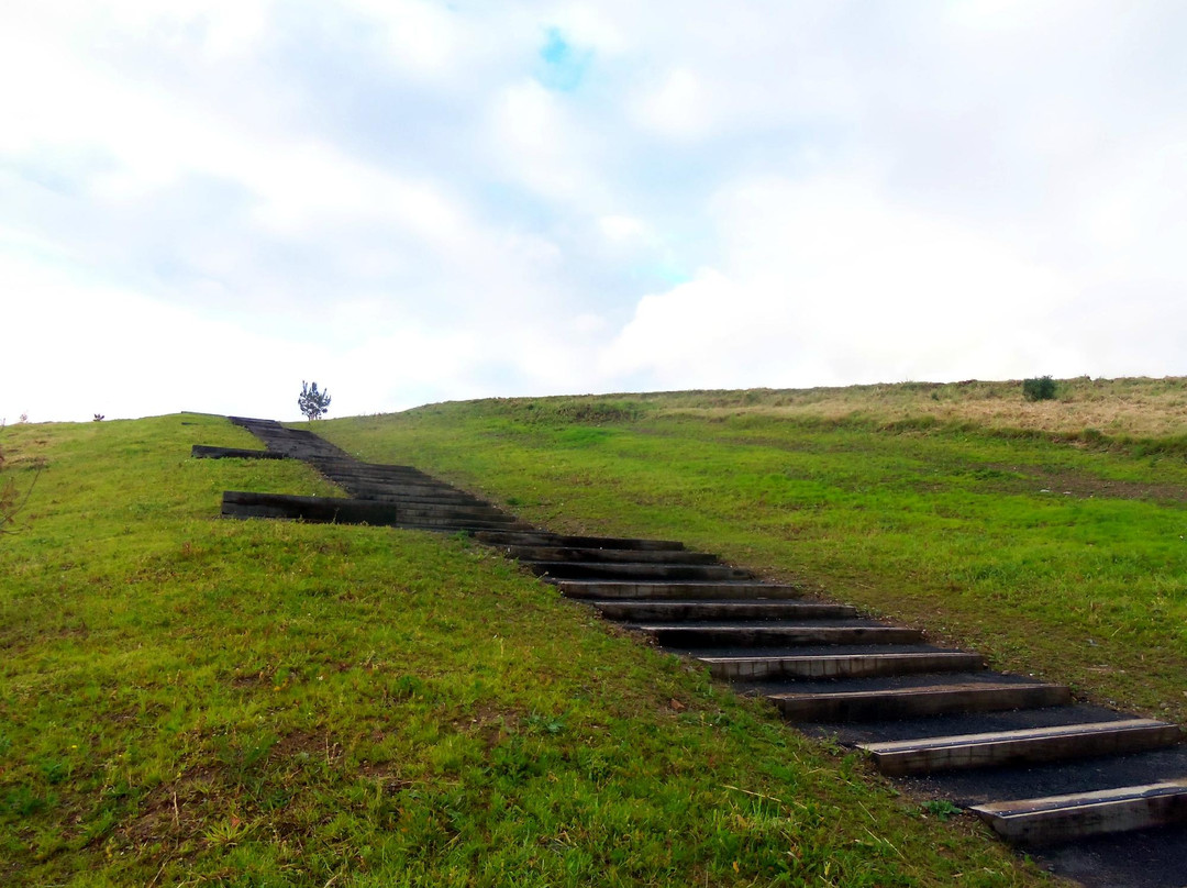 Waterford Nature Park-沃特福德必去景点