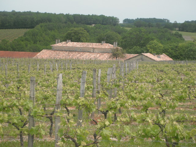 Les Collinauds主图