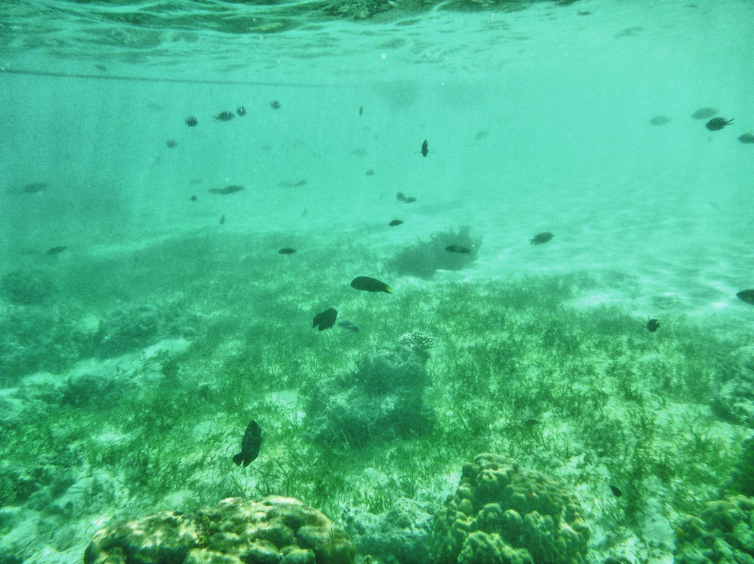 Banana Island-科隆必去景点