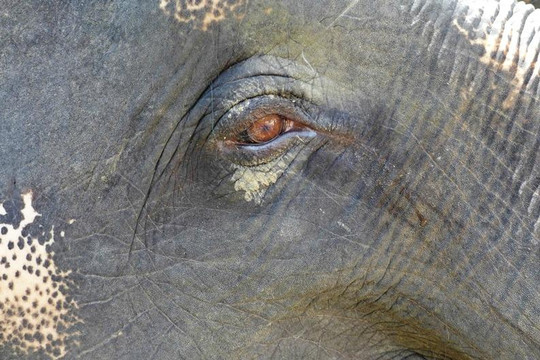 南门瀑布-苏梅岛必去景点