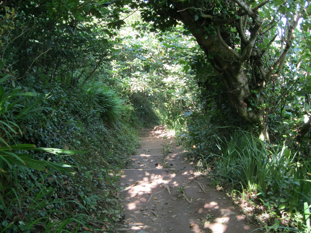 Cornwall Coast Path-圣艾维斯必去景点