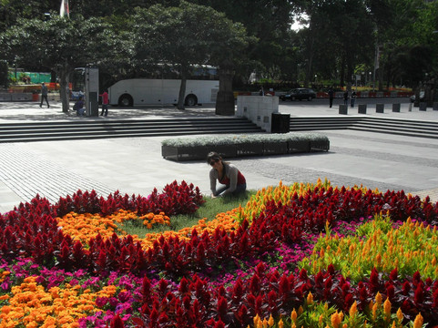 悉尼圣母主教座堂-悉尼必去景点