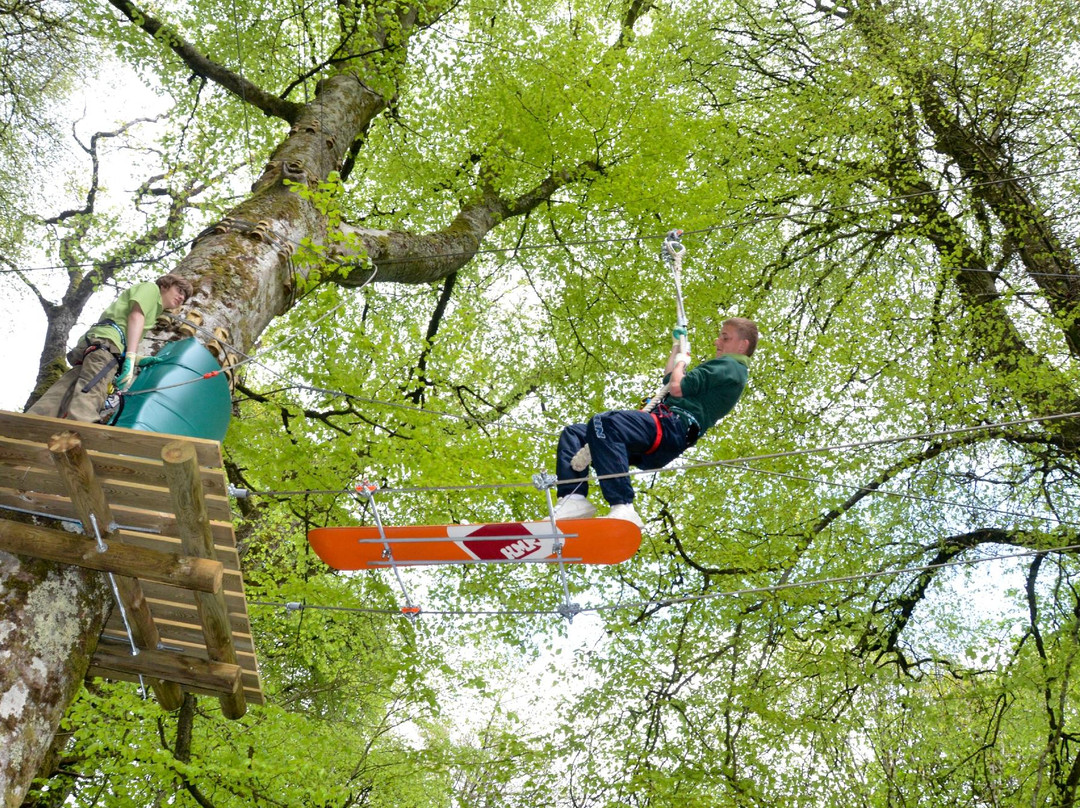 Zipit Forest Adventures-Boyle必去景点