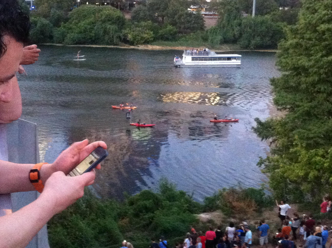 Congress Avenue Bridge Bat Watching-奥斯丁必去景点