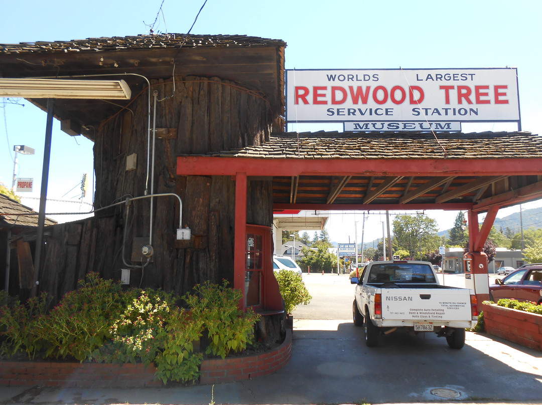 World's Largest Redwood Tree Service Station景点图片
