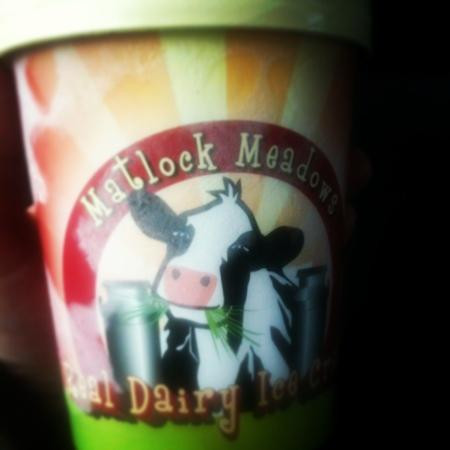 Matlock Meadows IceCream Parlour & Coffee Shop-马特洛克必去景点