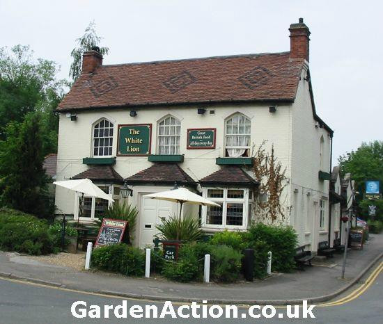 The White Lion