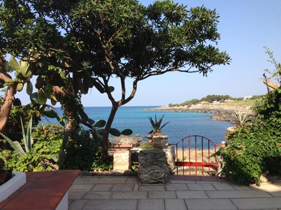 Villa Elisa Bed and Breakfast-餐饮