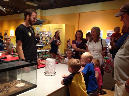 丹佛自然科学博物馆-丹佛必去景点