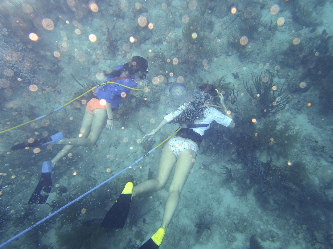 VI SNUBA Excursions-Smith Bay必去景点