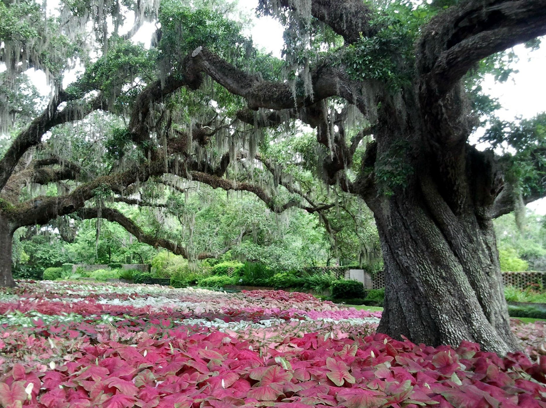 Brookgreen Gardens景点图片