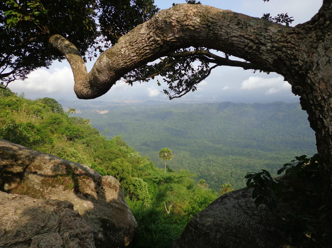 Pa Hin Ngam National Park景点图片