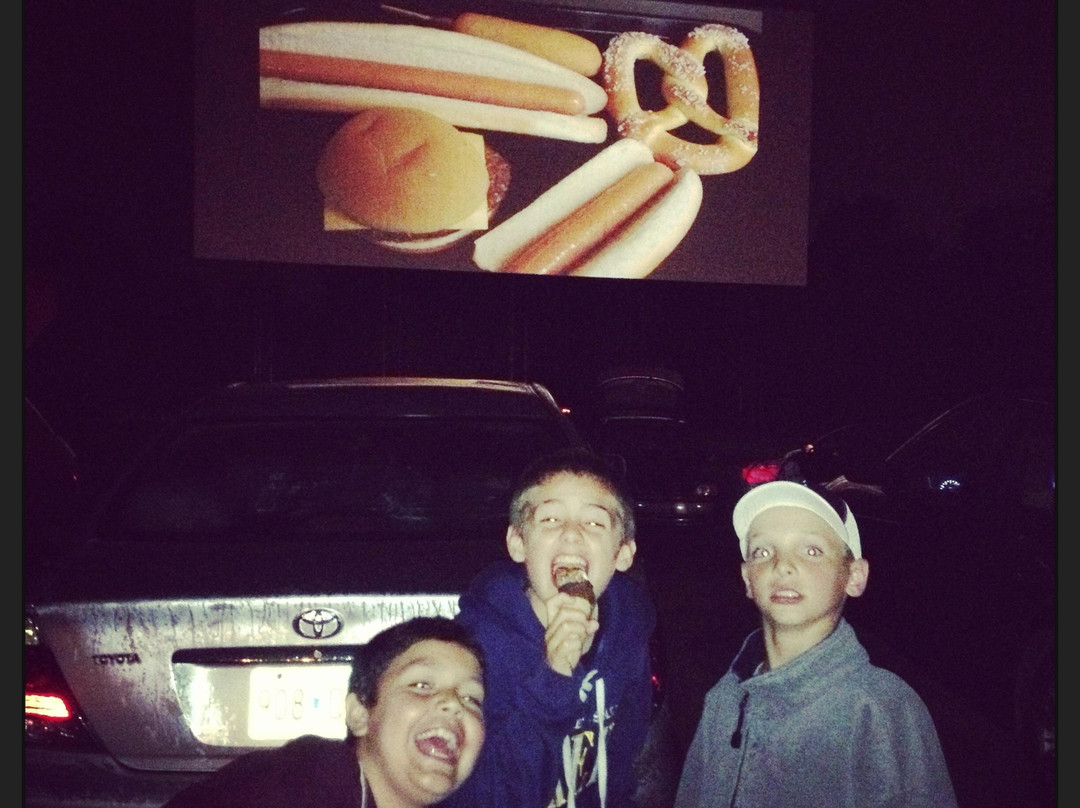 Vali-Hi Drive-in-Lake Elmo必去景点