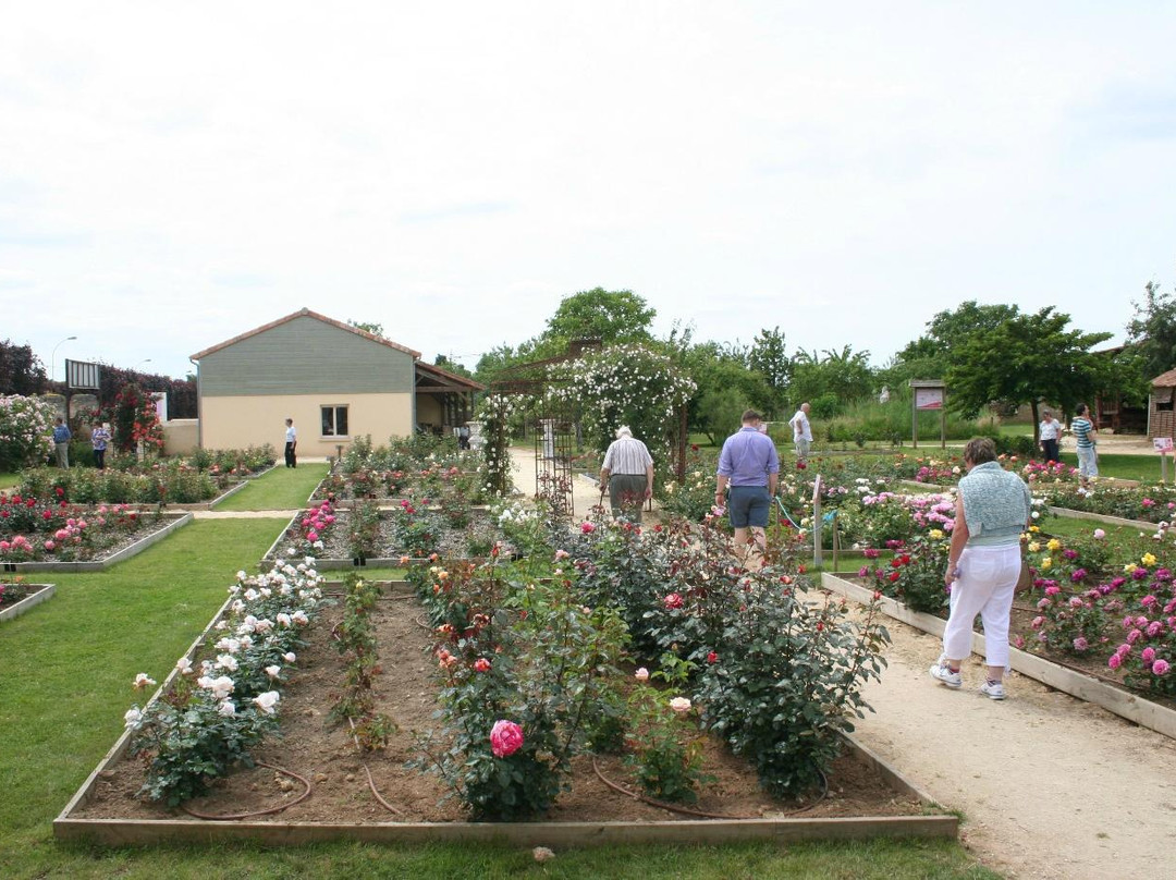 Terre de Rose Distillerie景点图片