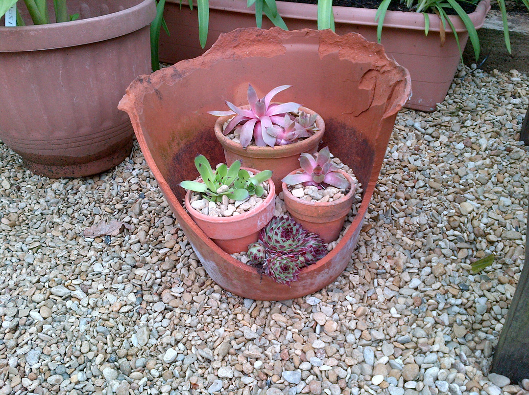 Bridewell Organic Gardens景点图片