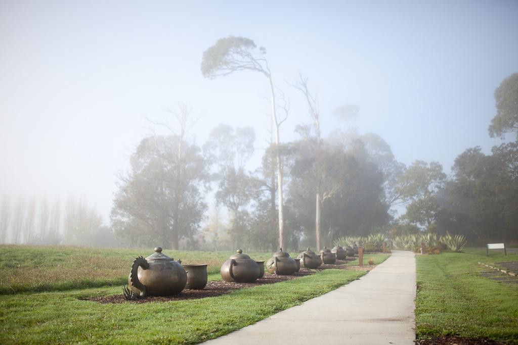 Zealong Tea Estate-汉密尔顿必去景点