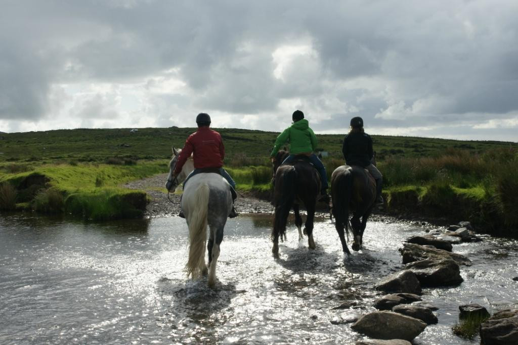 Sea View Equestrian-Ballydavid必去景点