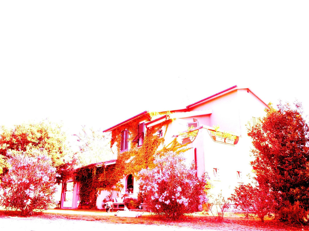 Podere L'Olmaia主图