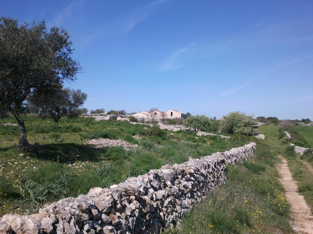 Santeramo in Colle旅游攻略图片