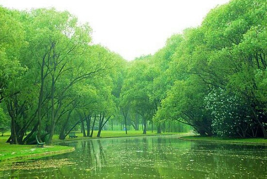 共青森林公园-上海市必去景点