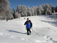 Gasthof Alpengluhn主图