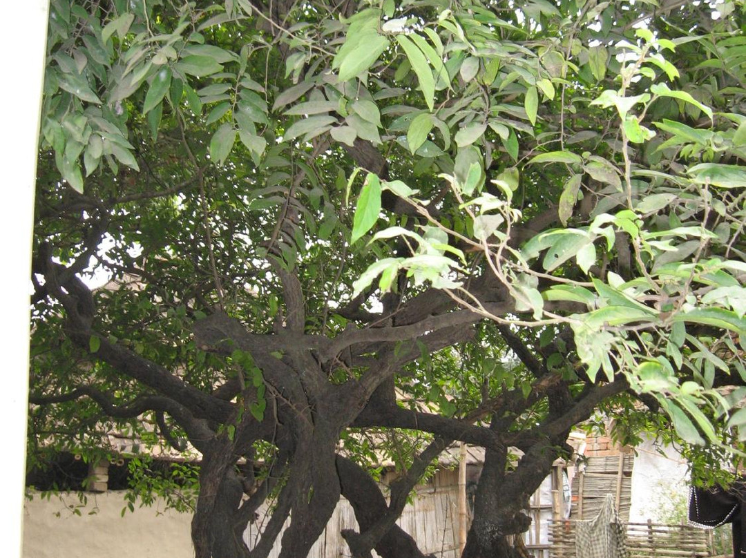 Ramkeli-Malda必去景点