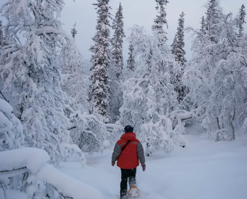 Adventure by Design - Private Day Tours-Kilpisjarvi必去景点