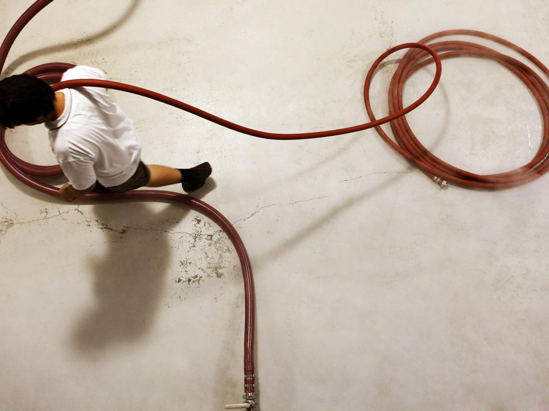 Ballabourneen by Binet Family Wines-Rothbury必去景点