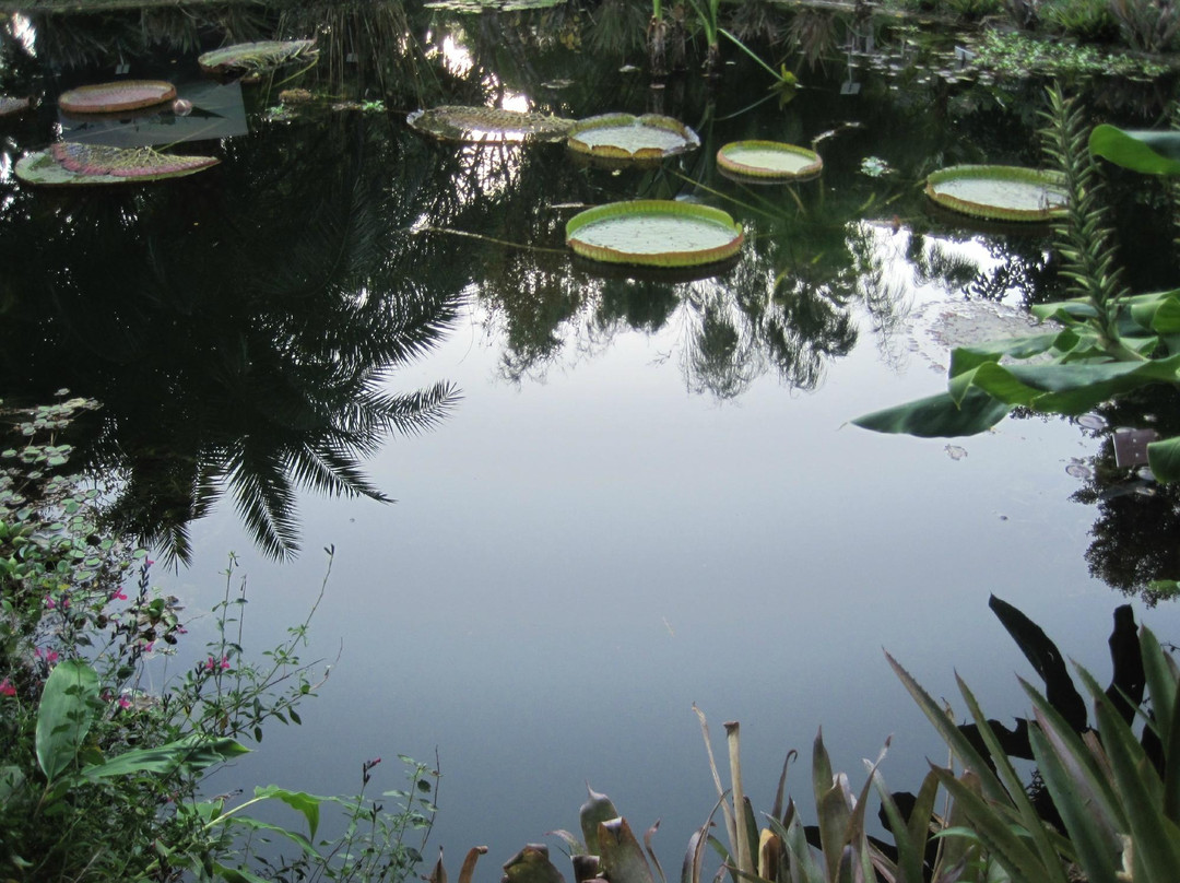 Jardin Botanique Val Rahmeh - Menton-芒通必去景点