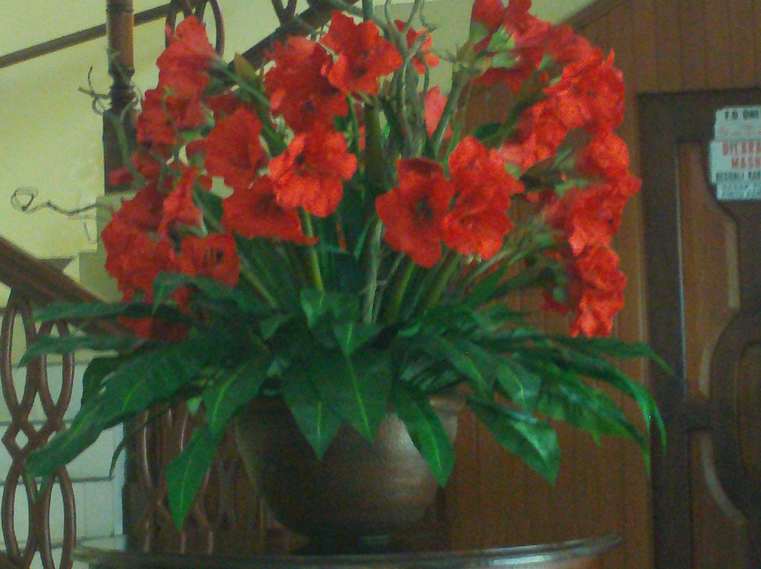 曼斯南岛海滩度假村酒店主图