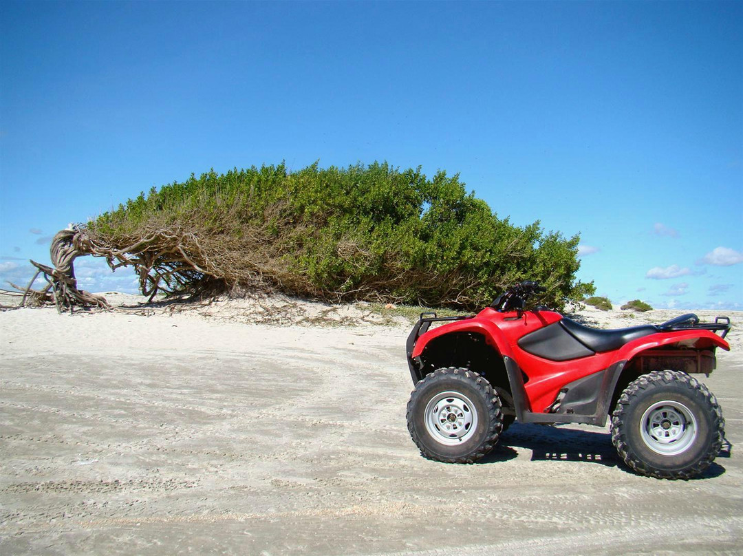 Trilha do Jerico-杰里科科拉必去景点