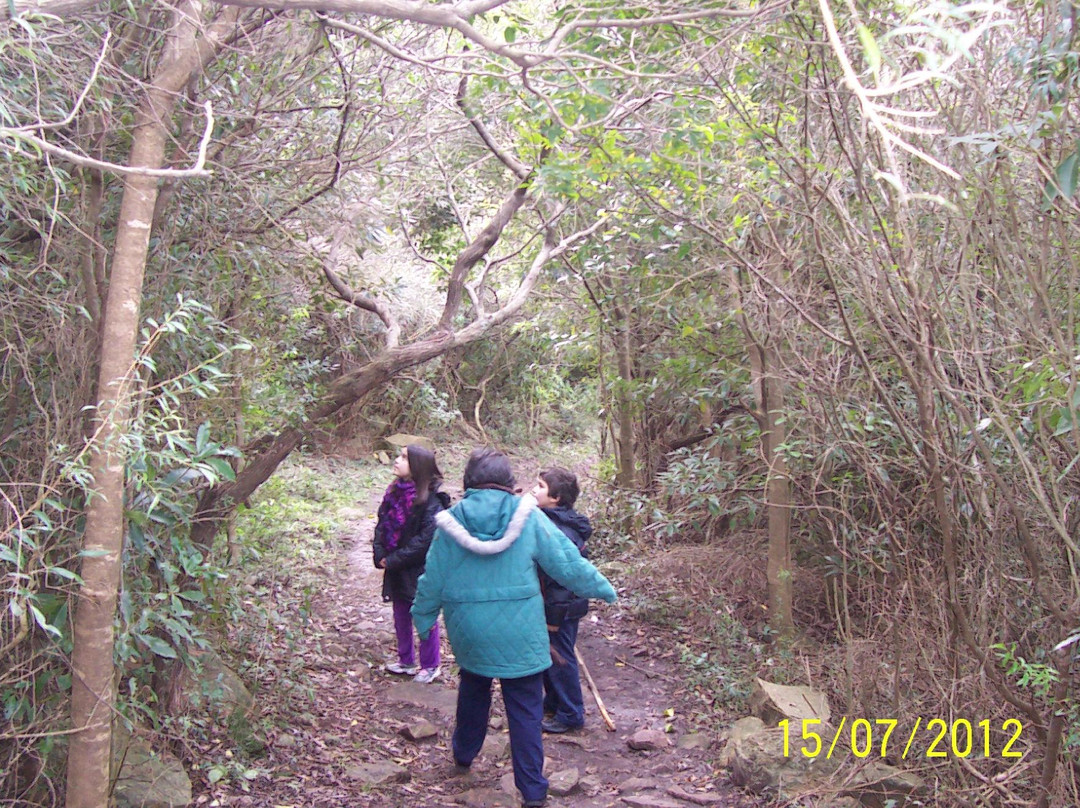 Paseo Sierra de Las Animas-Maldonado必去景点