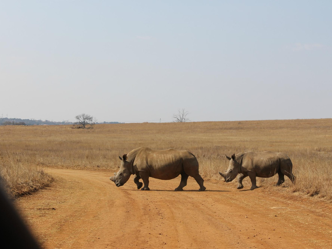 Rietvlei Nature Reserve-比勒陀利亚必去景点