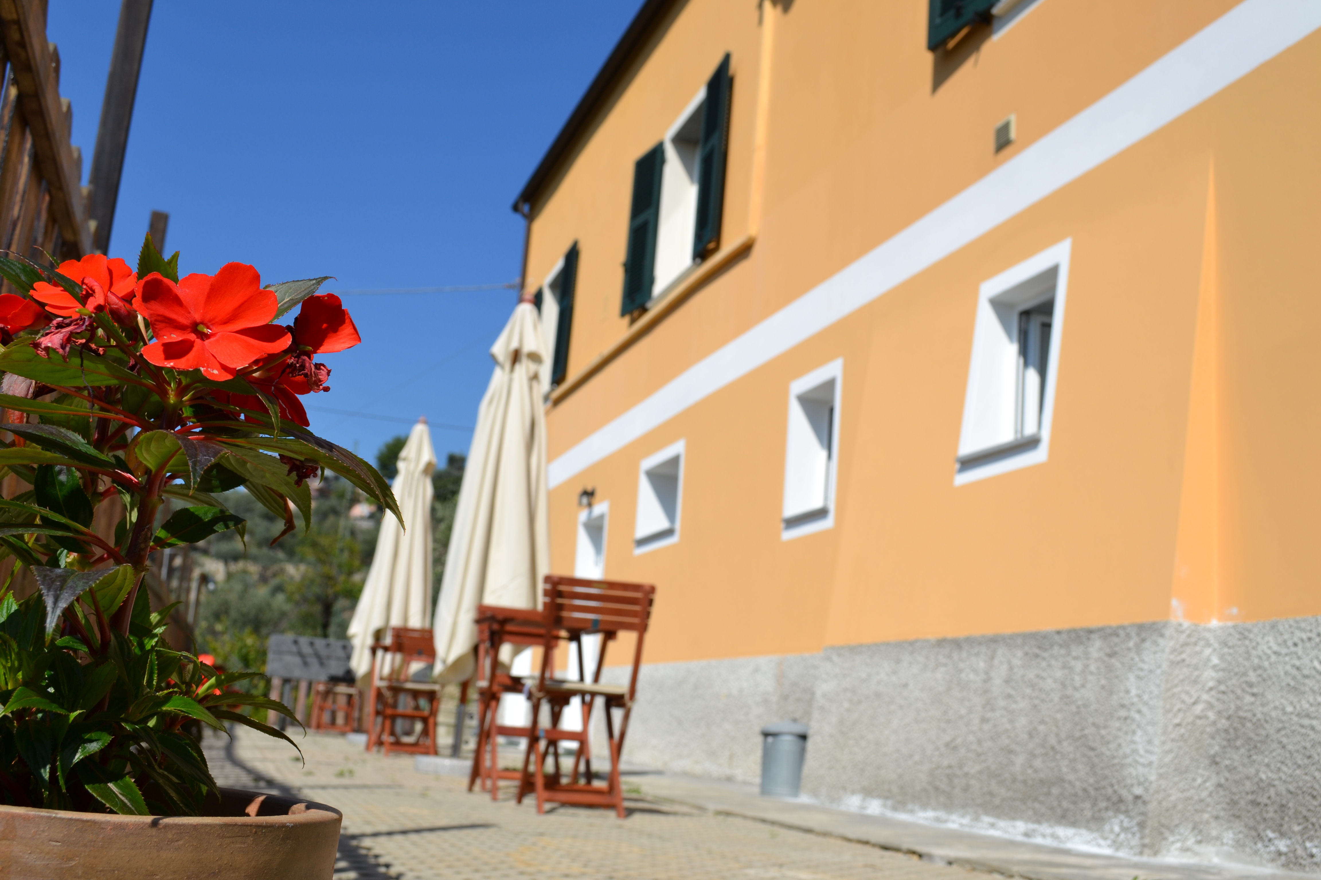 B&B Campagna Casagrande-官方