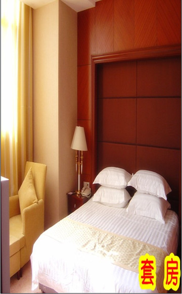 金海安大酒店主图